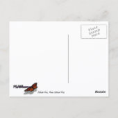 Delikatessen am Arche Nationalpark Postkarte (Rückseite)