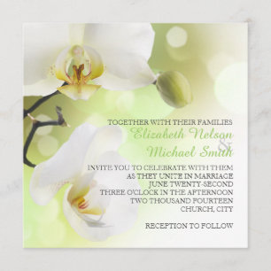 Delikatessen Frühling Weiße Orchideen Hochzeit Ein Einladung