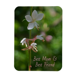 Delikatessen Rosa Blume Beste Mama Magnet