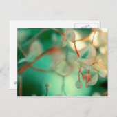 Delikatfallen Postkarte (Vorne/Hinten)