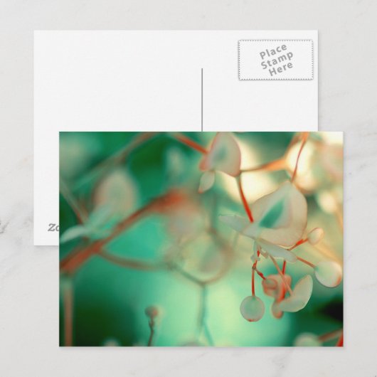 Delikatfallen Postkarte (Vorne/Hinten)