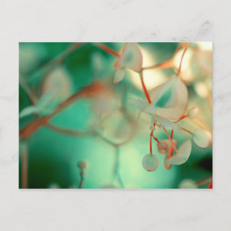 Delikatfallen Postkarte