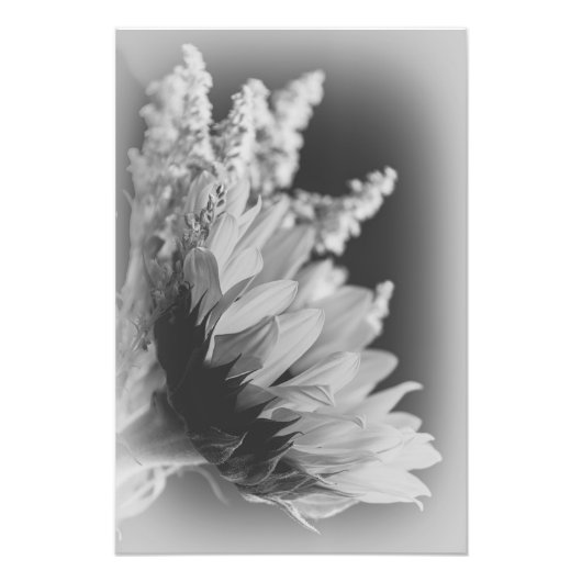 Delikatkontrast 2 fotodruck (Vorne)