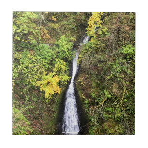 Dell Falls, Columbia River Gorge, OR Fliese