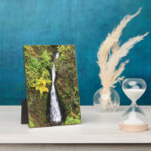 Dell Falls, Columbia River Gorge, OR Fotoplatte (Seite)