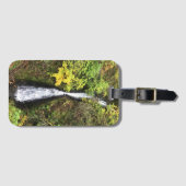 Dell Falls, Columbia River Gorge, OR Gepäckanhänger (Vorderseite (Horizontal))