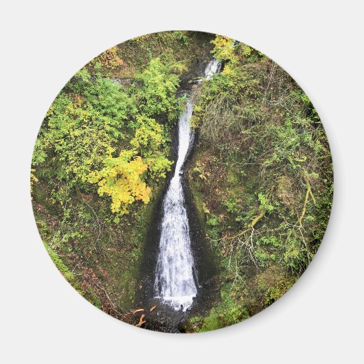 Dell Falls, Columbia River Gorge, OR Magnet (Vorne)
