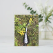 Dell Falls, Columbia River Gorge, OR Postkarte (Stehend Vorderseite)