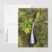 Dell Falls, Columbia River Gorge, OR Postkarte (Vorne/Hinten)