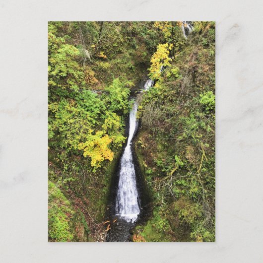 Dell Falls, Columbia River Gorge, OR Postkarte (Vorderseite)