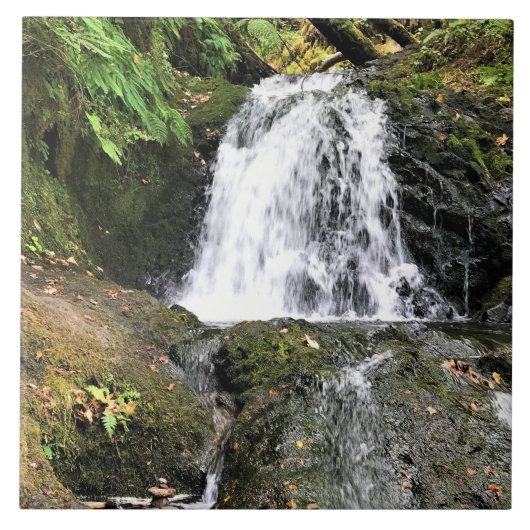 Dell Falls von Shepperd, OR Fliese (Vorderseite)