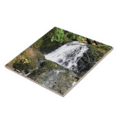 Dell Falls von Shepperd, OR Fliese (Seite)