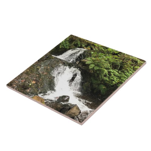 Dell Falls von Shepperd, OR Fliese (Seite)