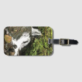 Dell Falls von Shepperd, OR Gepäckanhänger (Vorderseite (Horizontal))