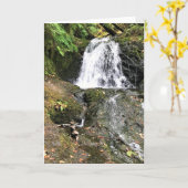 Dell Falls von Shepperd, Oregon Karte (Gelbe Blume)