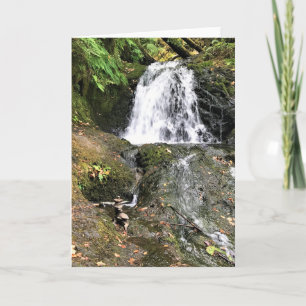 Dell Falls von Shepperd, Oregon Karte