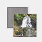 Dell Falls von Shepperd, Oregon Magnet (Vorderseite/Rückseite)