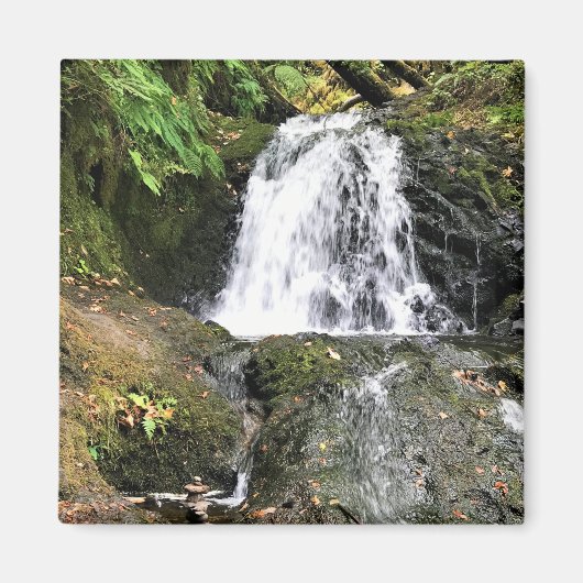 Dell Falls von Shepperd, Oregon Magnet (Vorne)