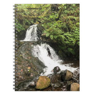 Dell Falls von Shepperd, Oregon Notizblock