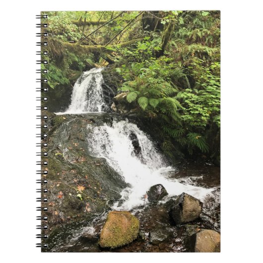 Dell Falls von Shepperd, Oregon Notizblock (Vorderseite)