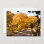 Dell Maple im Herbst Postkarte (Vorne/Hinten)