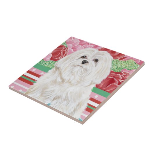 Della Rose Maltese Fliese (Seite)