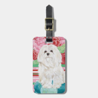 Della Rose Maltese