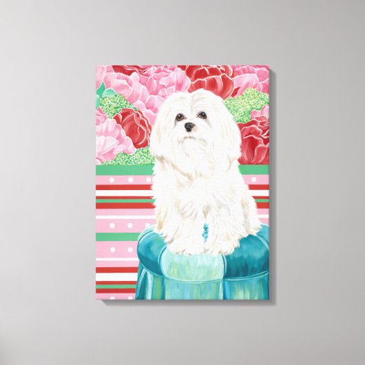 Della Rose Maltese Leinwanddruck (Vorderseite)