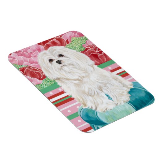 Della Rose Maltese Magnet (Rechte Seite)