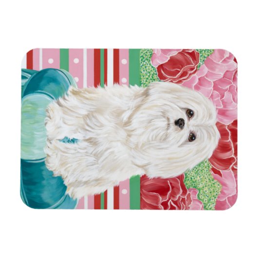 Della Rose Maltese Magnet (Horizontal)