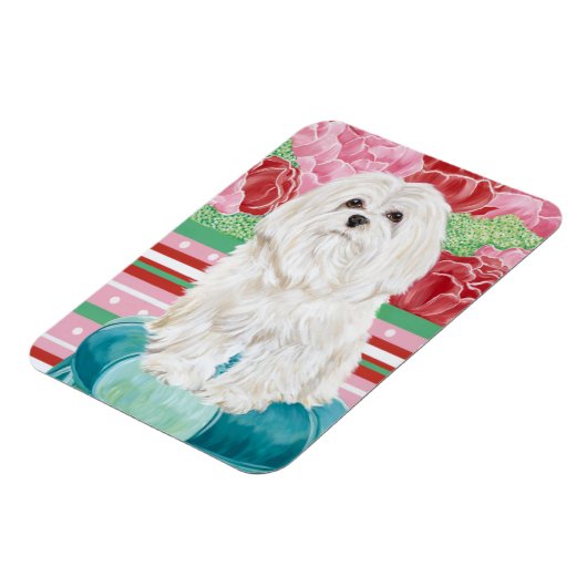 Della Rose Maltese Magnet (Linke Seite)