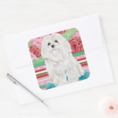 Della Rose Maltese Quadratischer Aufkleber (Umschlag)