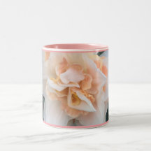 Delnashaugh Daffodil zweifarbige Pink-Tasse