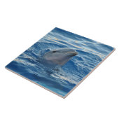 Delphin20151021 Fliese (Seite)