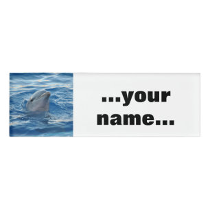 Delphin20151021 Namenschild