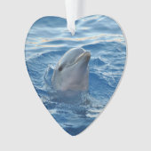 Delphin20151021 Ornament (Vorderseite)