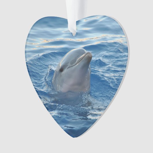 Delphin20151021 Ornament (Vorderseite)