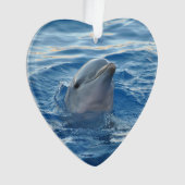 Delphin20151021 Ornament (Vorderseite)