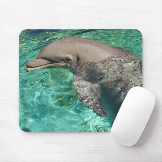 Delphin 2 mousepad (Mit Mouse)
