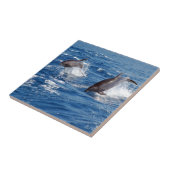 Delphin-Abenteuer Fliese (Seite)