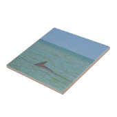 Delphin auf Sanibel Fliese (Seite)