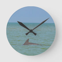 Delphin auf Sanibel