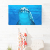 Delphin Banner (Insitu)