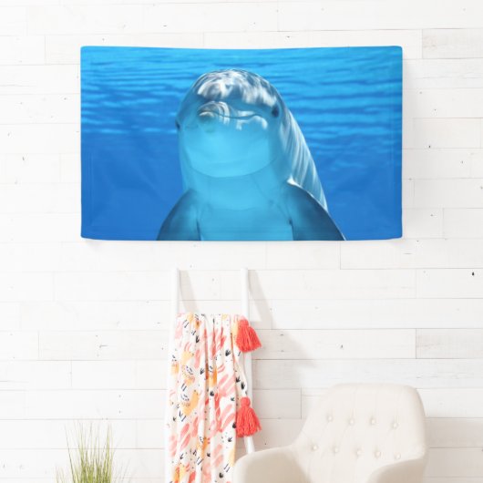 Delphin Banner (Insitu)
