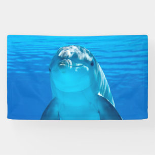 Delphin Banner