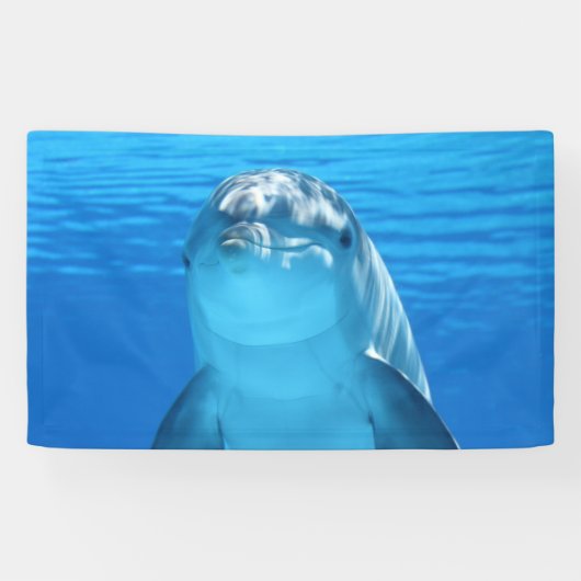 Delphin Banner (Horizontal)
