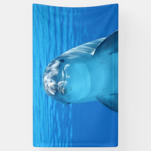 Delphin Banner (Vertikal)