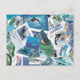 Delphin Briefmarken Postkarte