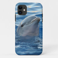 Delphin