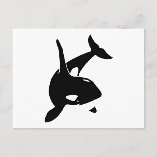 Delphin delphin schwertwal postkarte